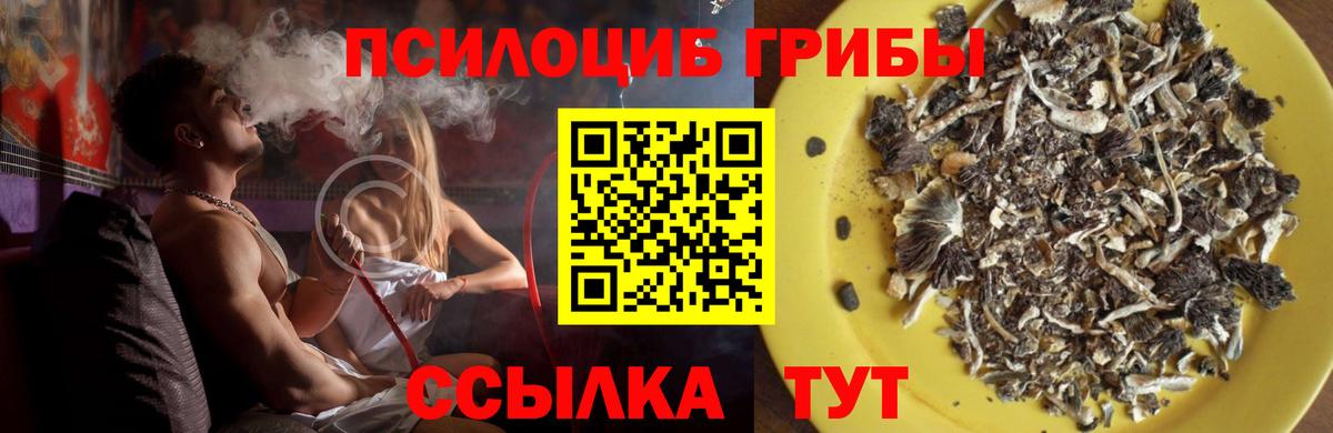 Псилоцибиновые грибы Magic Shrooms  Псилоцибиновые грибы Psilocybe  Полысаево  Вход с VPN 